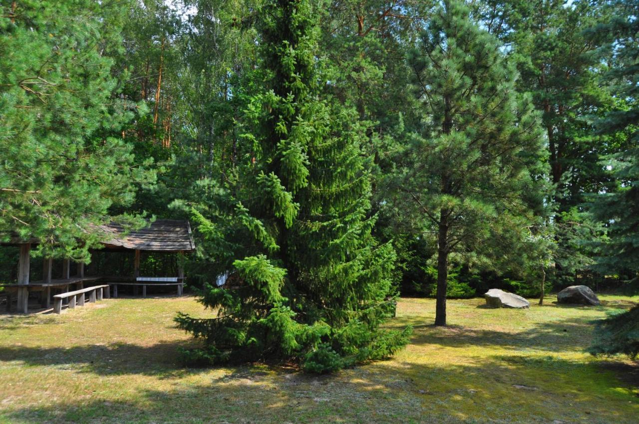 Agroturystyka "Lesne Zacisze Na Podlasiu" Tuczna Exterior photo