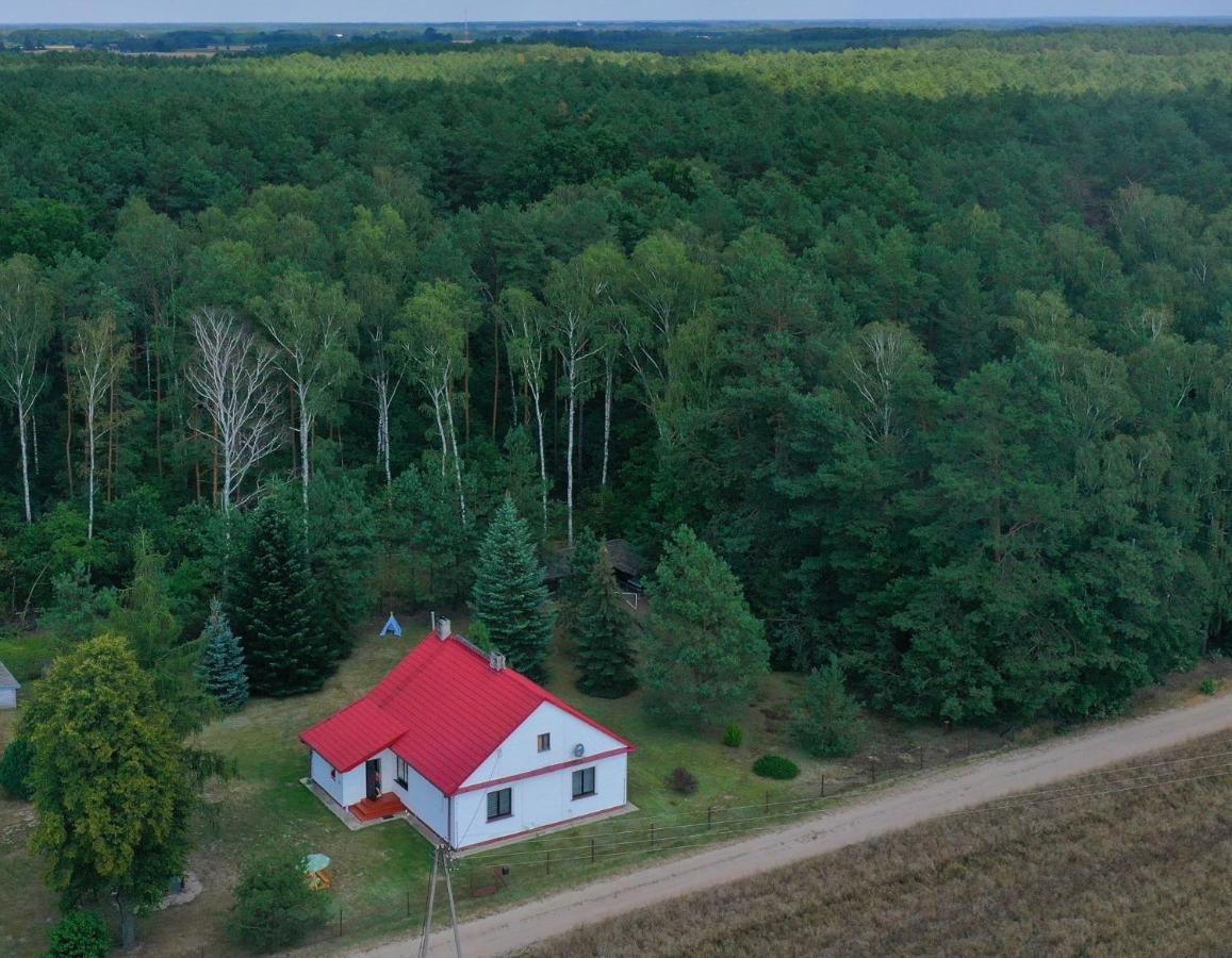Agroturystyka "Lesne Zacisze Na Podlasiu" Tuczna Exterior photo